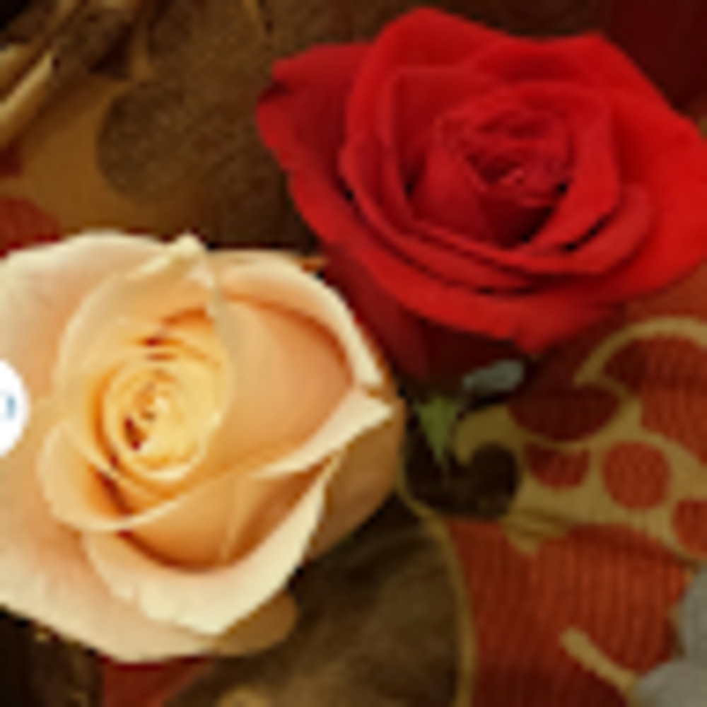 Meet your Posher, Caitlin